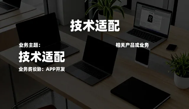 性能优化与适用条件的平衡之道